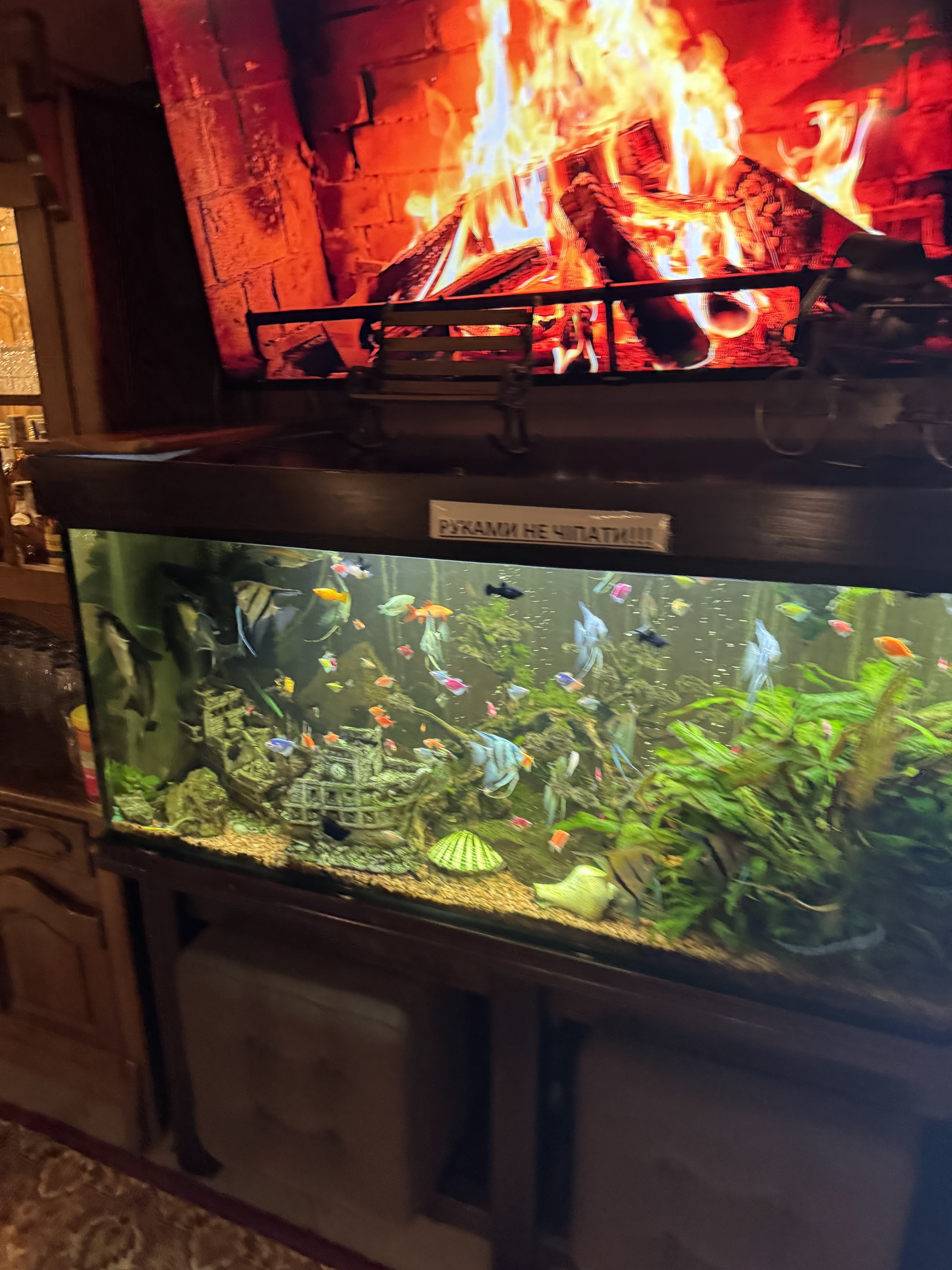 Бункер PUB image 6