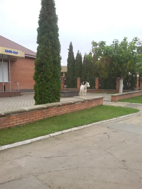 Zoloti Vorota image 4