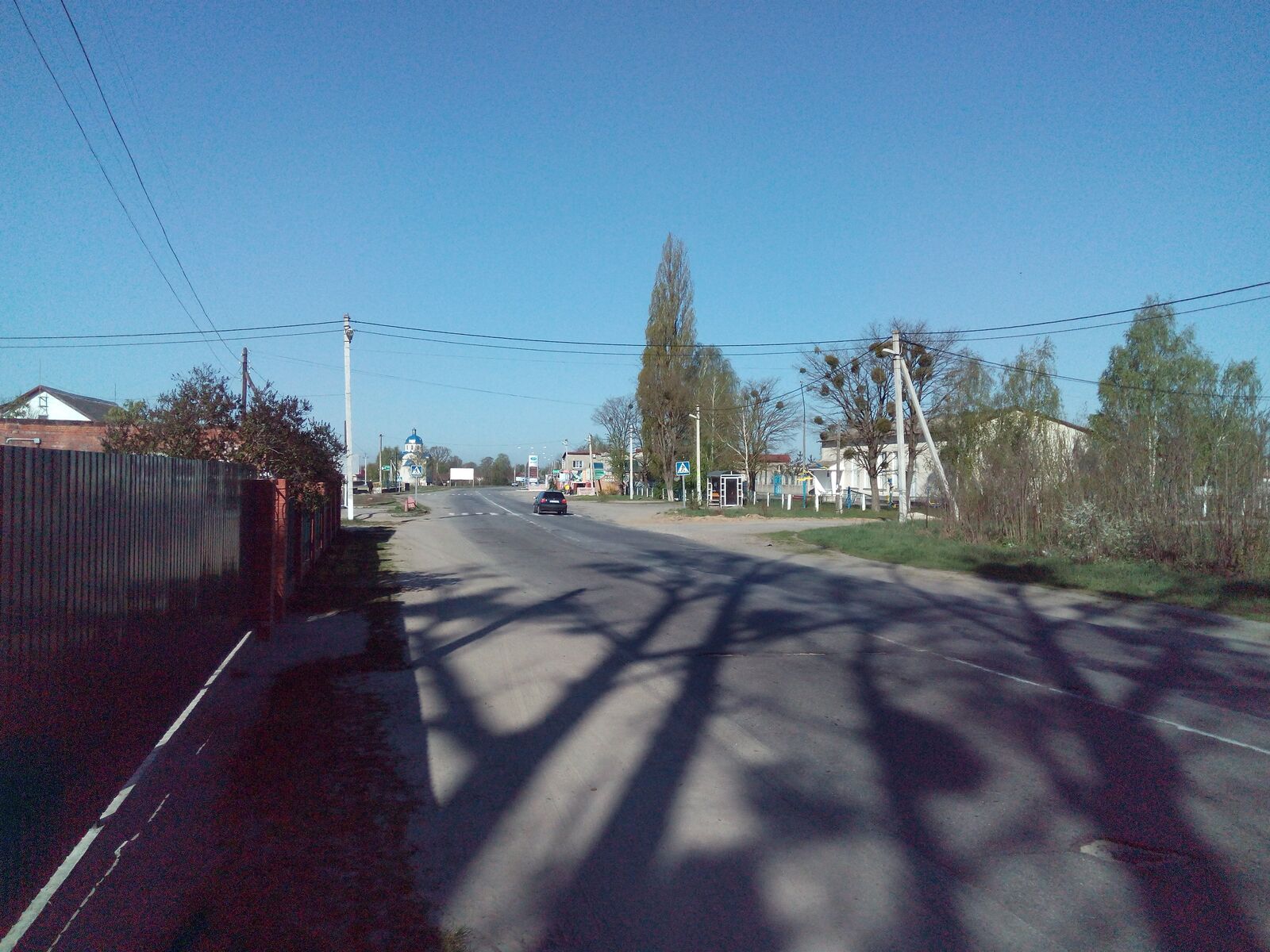 Lora image 4