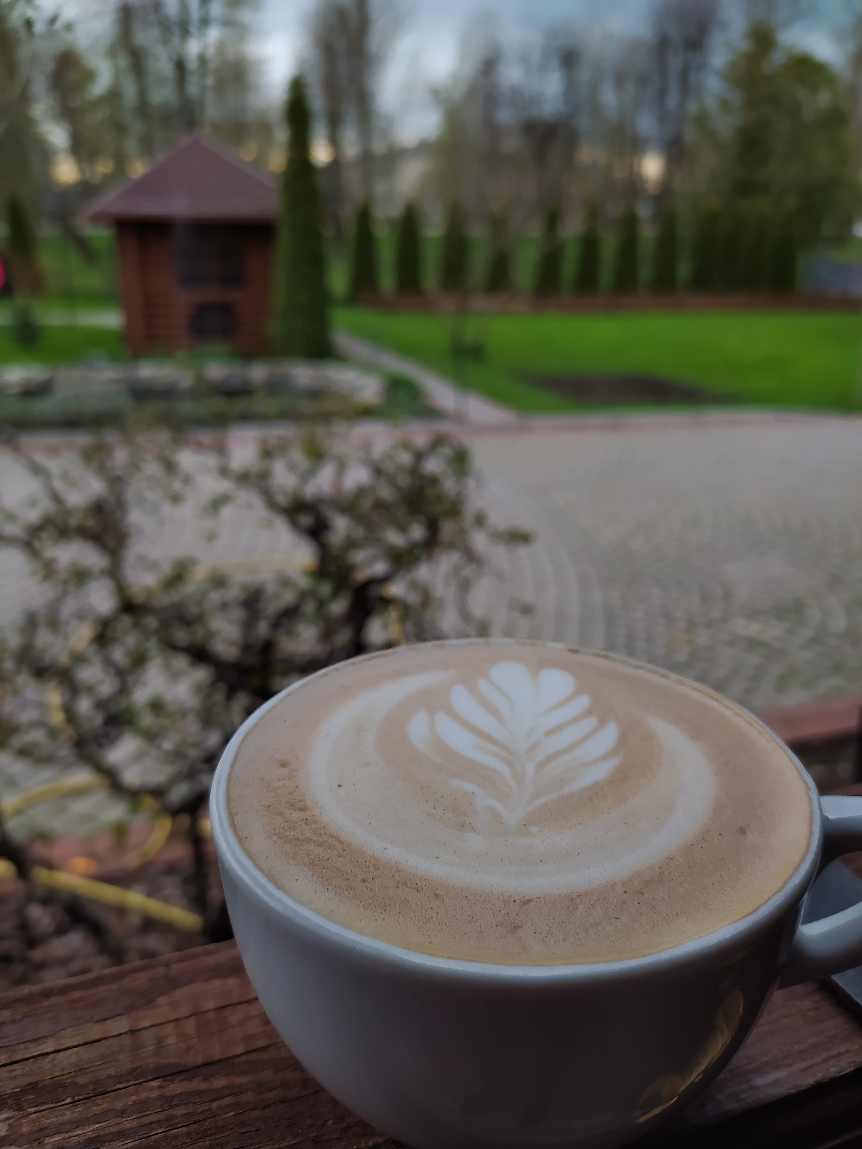 Staryi Zamok image 9