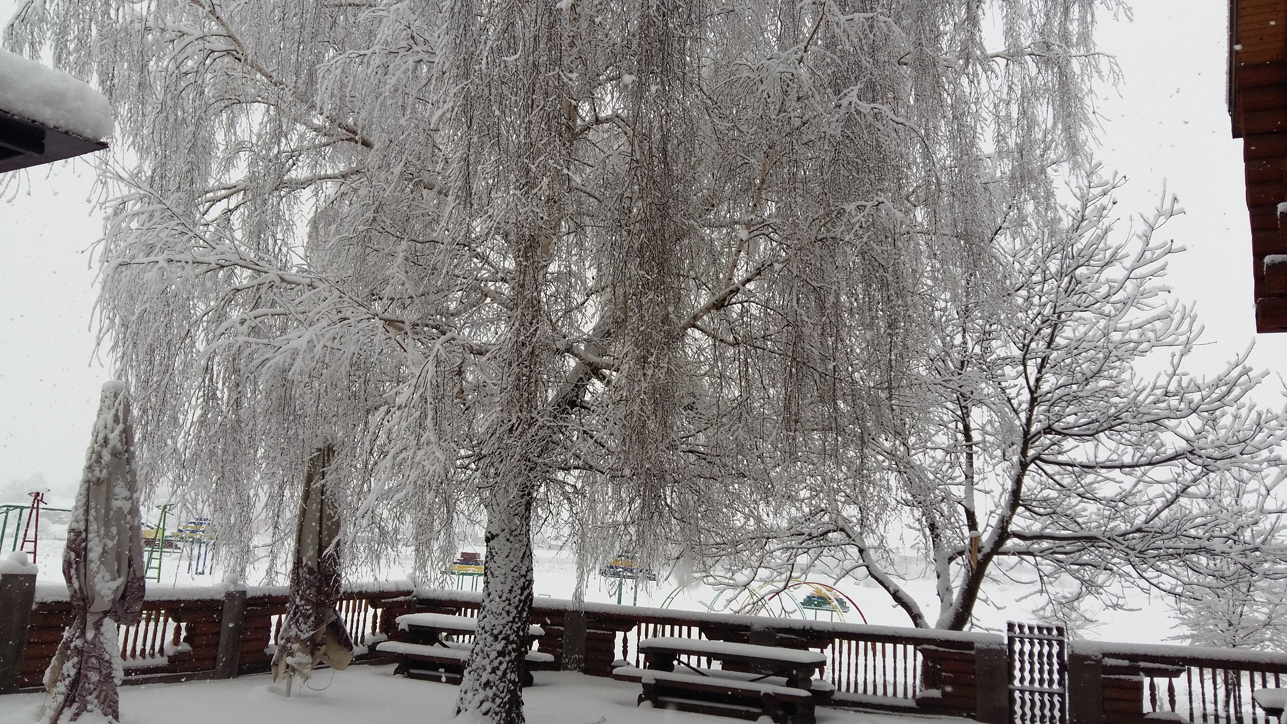 Restoran Okolytsya image 6
