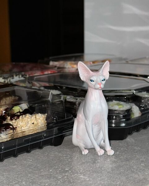 Sphinx Sushi image 7
