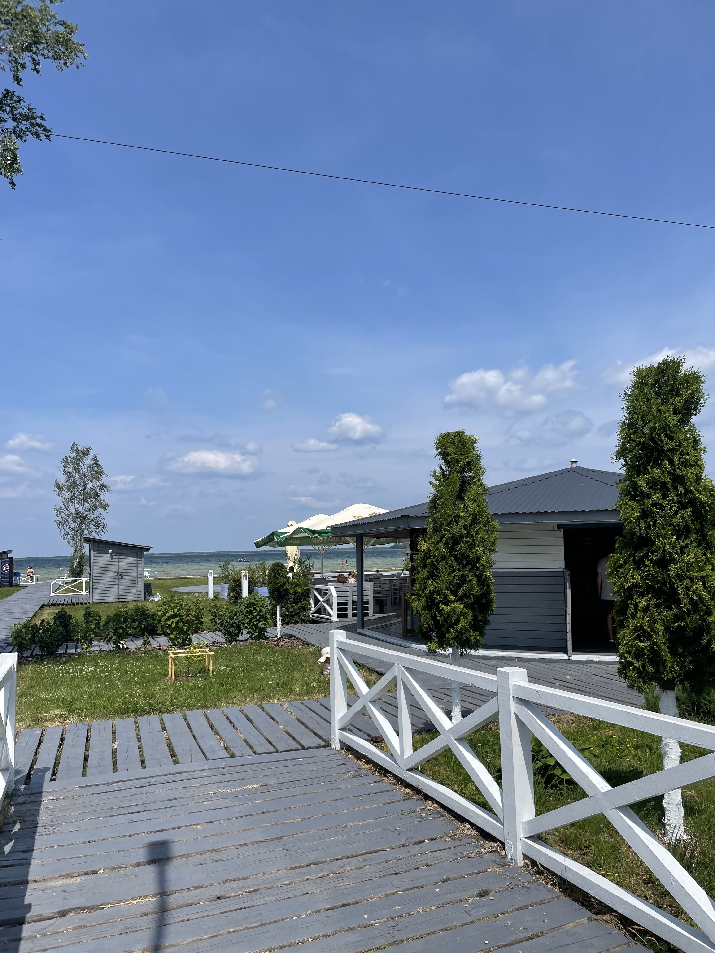 Чорничне кафе image 7