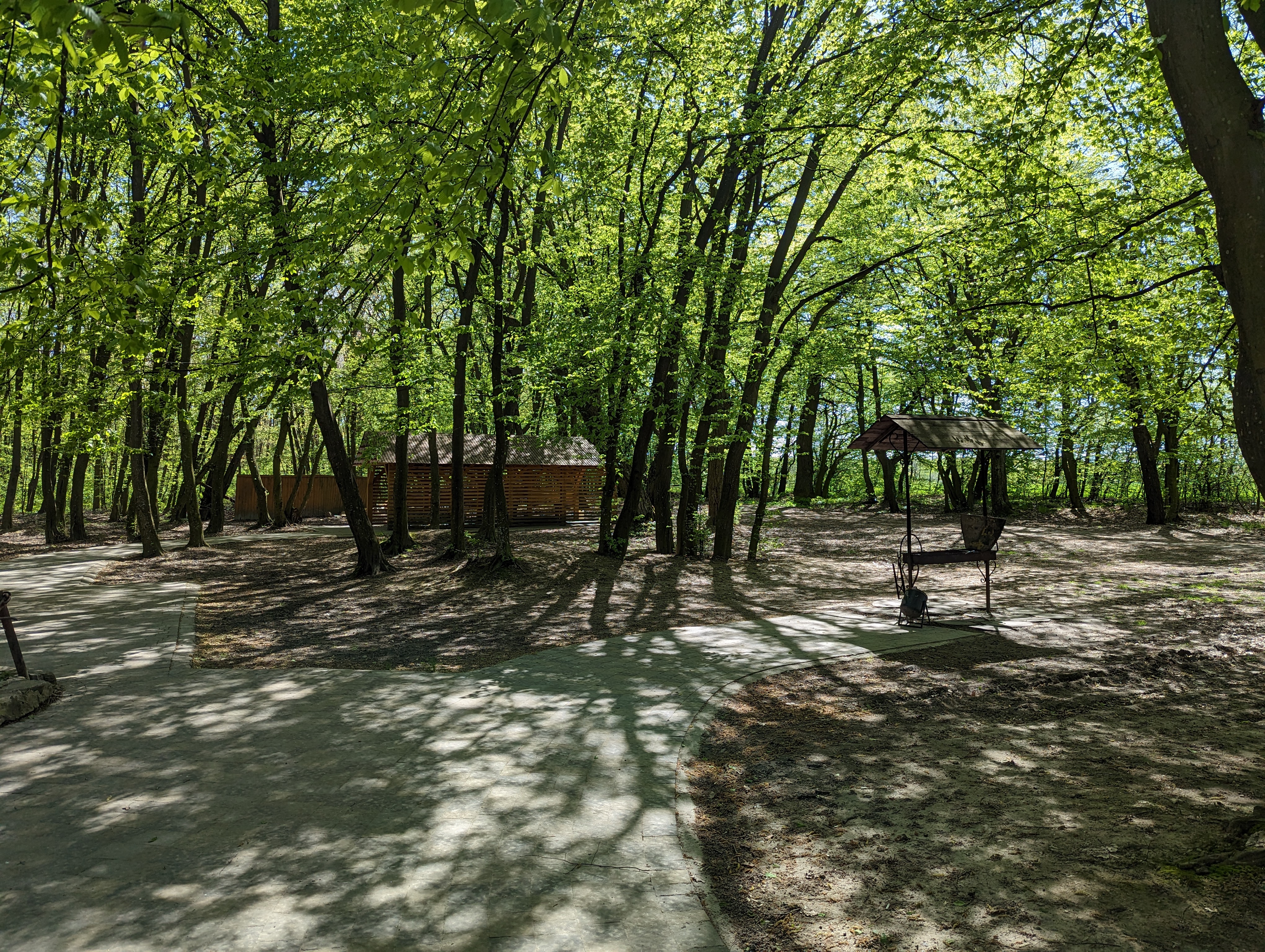 Найсмачніший шашлик по дорозі на Світязь (Зона відпочинку "Узлісся") image 4