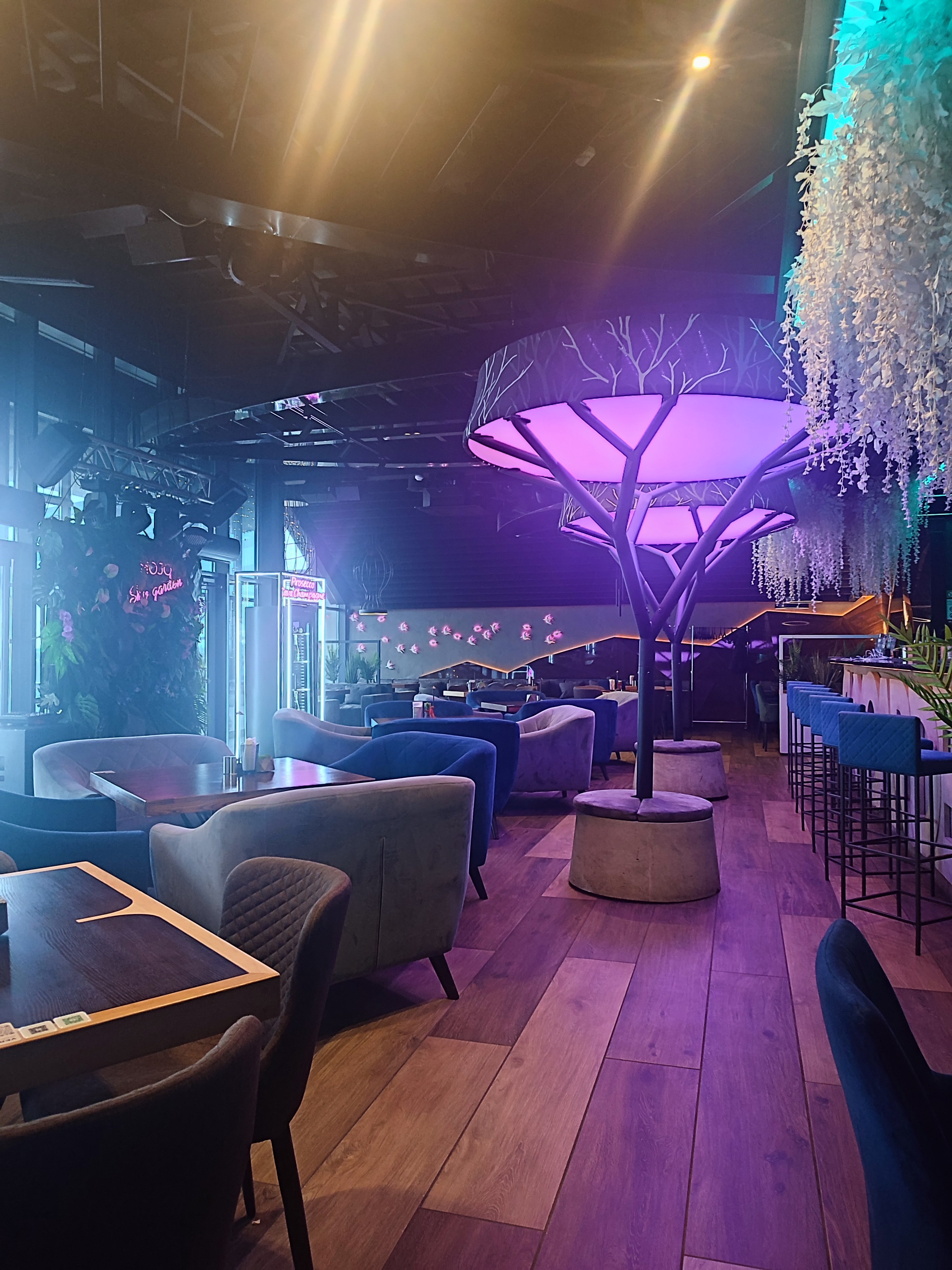 MOJO SKY GARDEN image 4