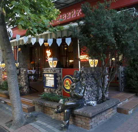 Bravyi Shveik image 4