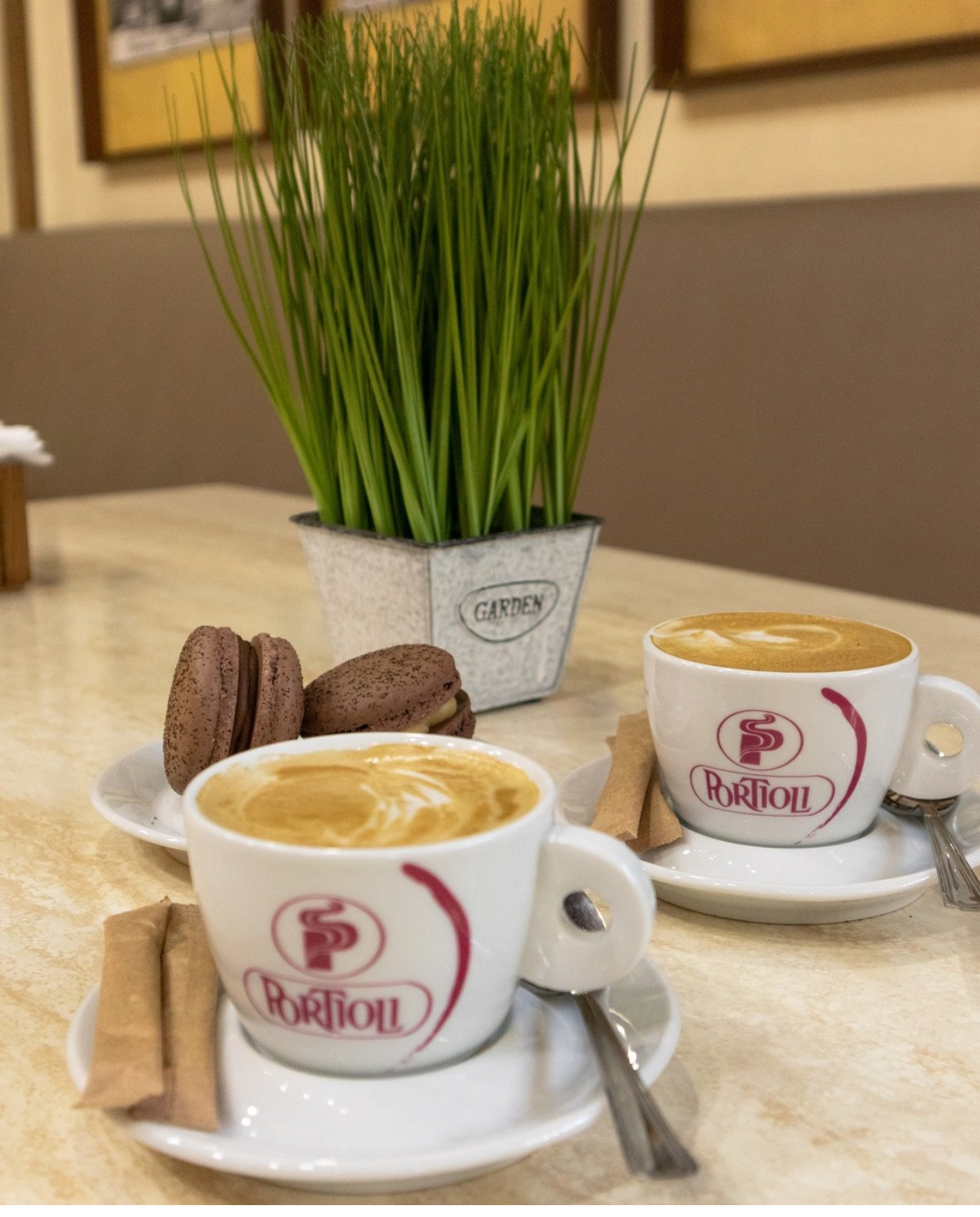 Оленка. Ресторація швидкого харчування image 6