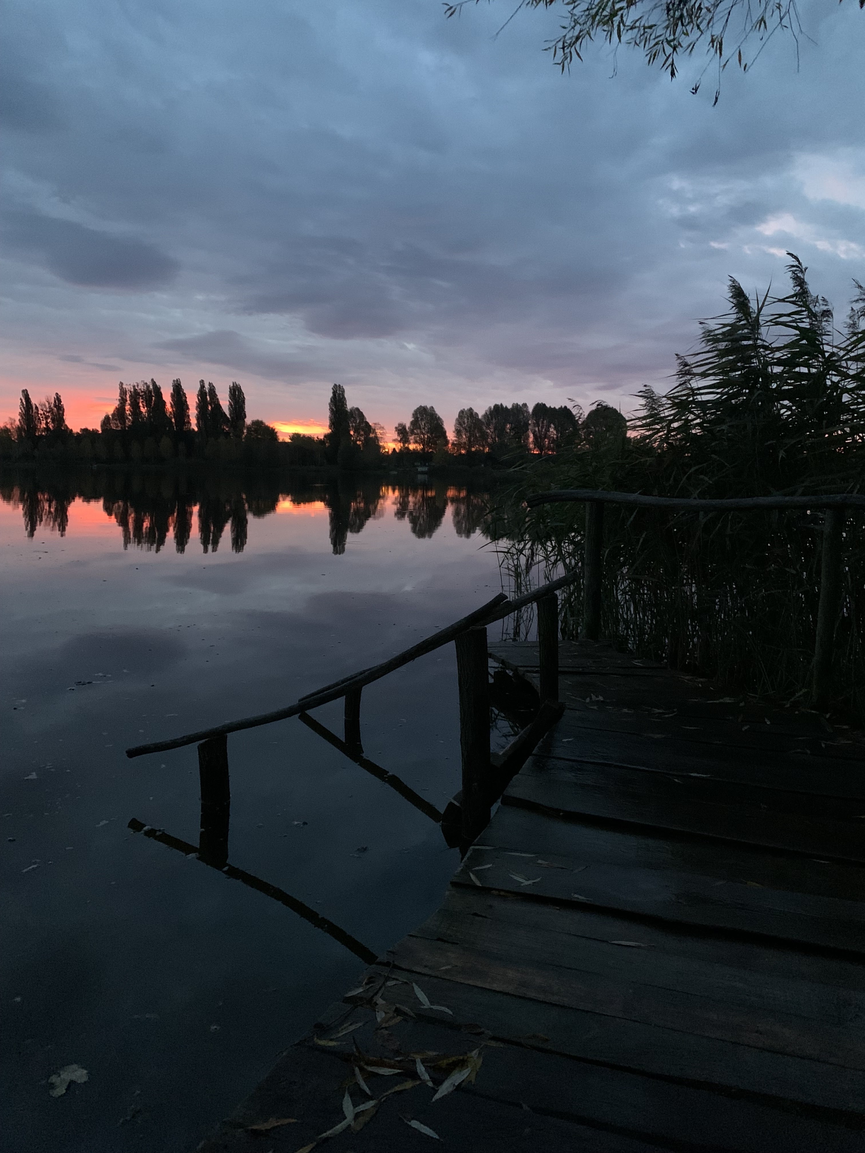 ТУРІЯ, РЕСТОРАН image 2