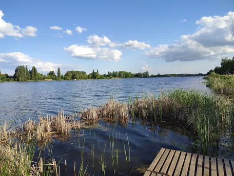 ТУРІЯ, РЕСТОРАН image 6