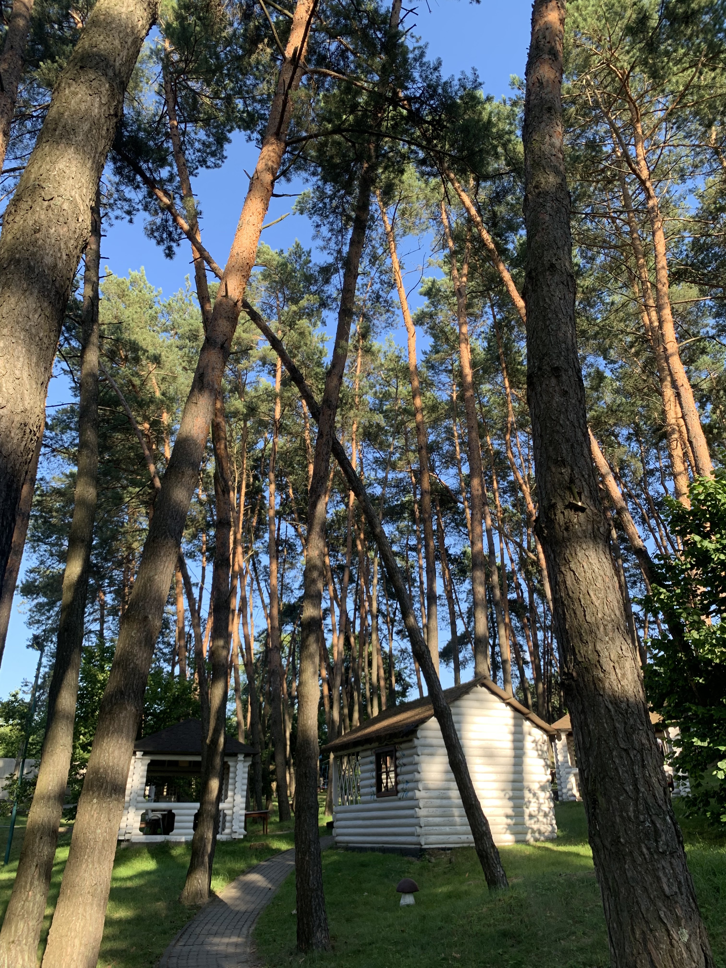 Sadyba na Dzherelakh image 4