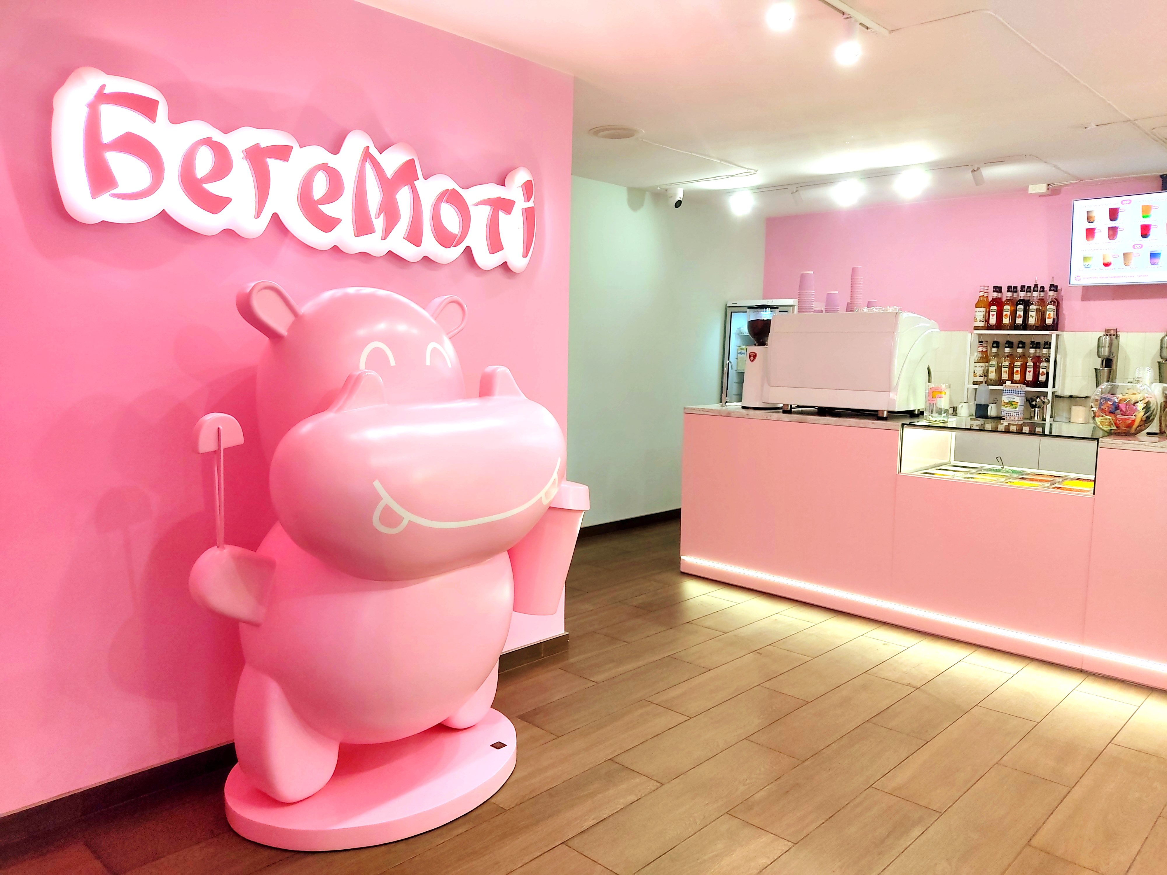 Бегемоті image 1