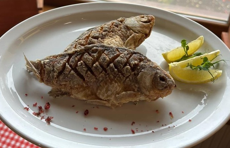 Гуцул Bolzani image 6