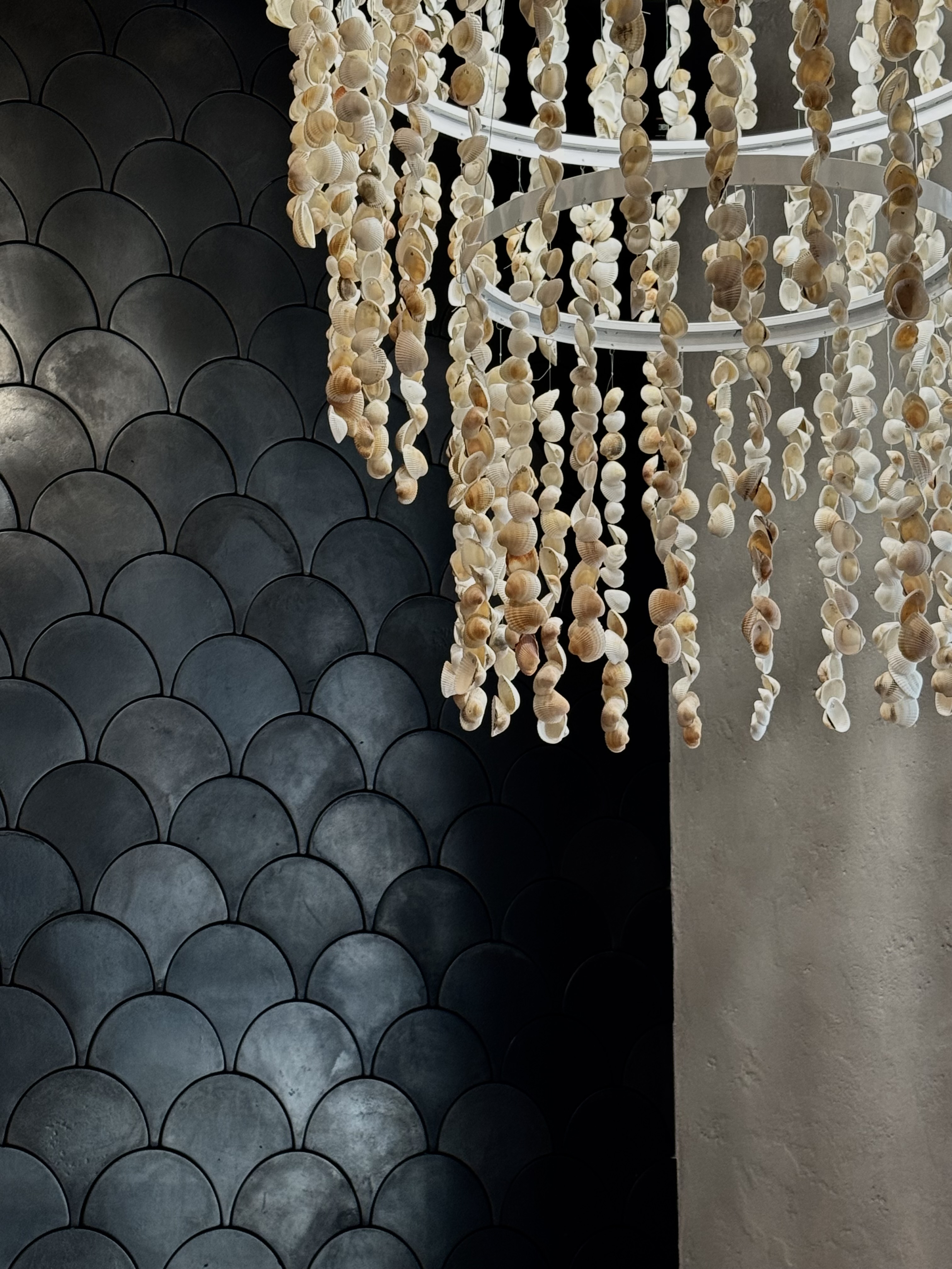 Anchousna Vid Chornomorky image 9