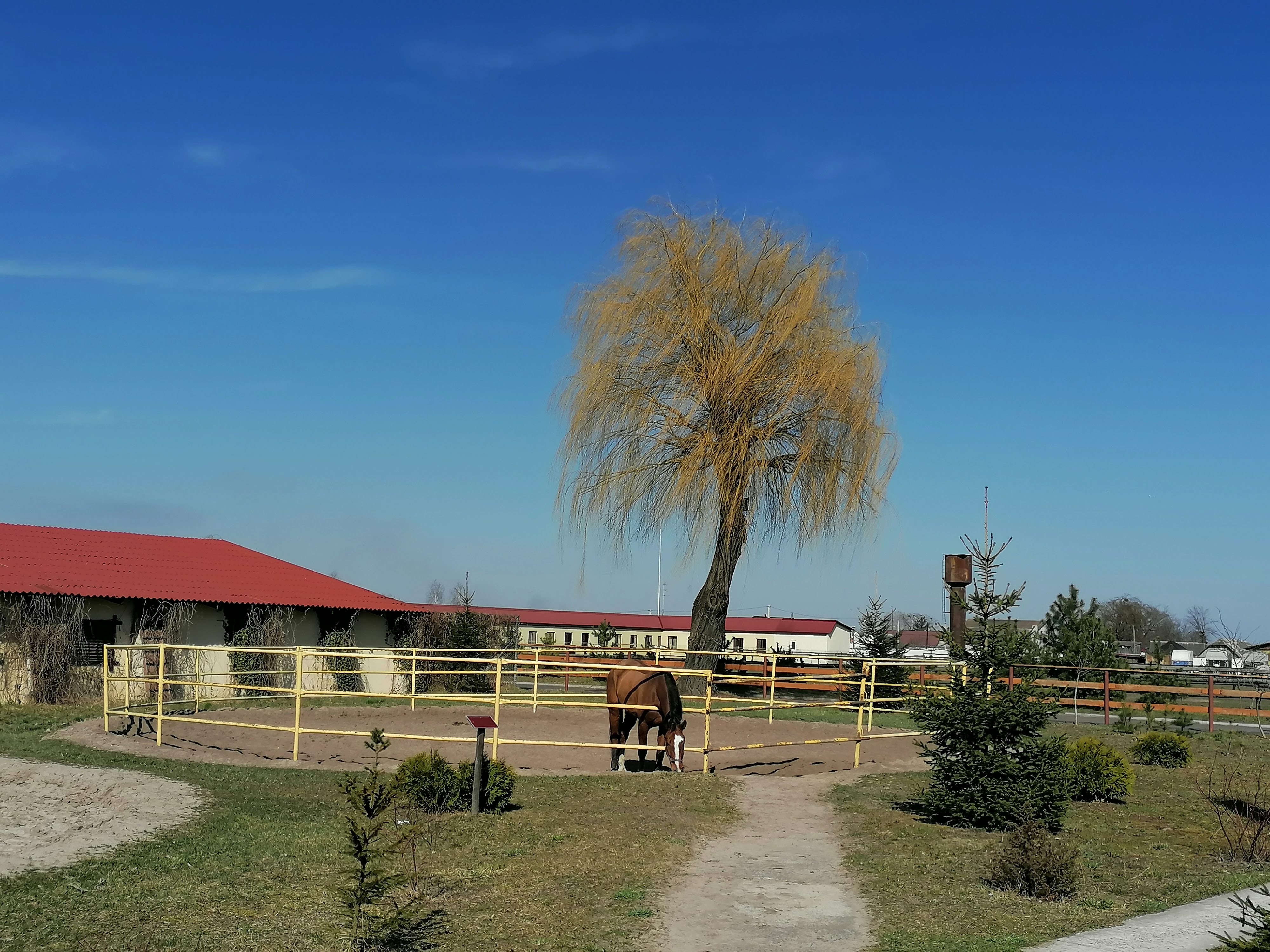 Zolota Pidkova image 8