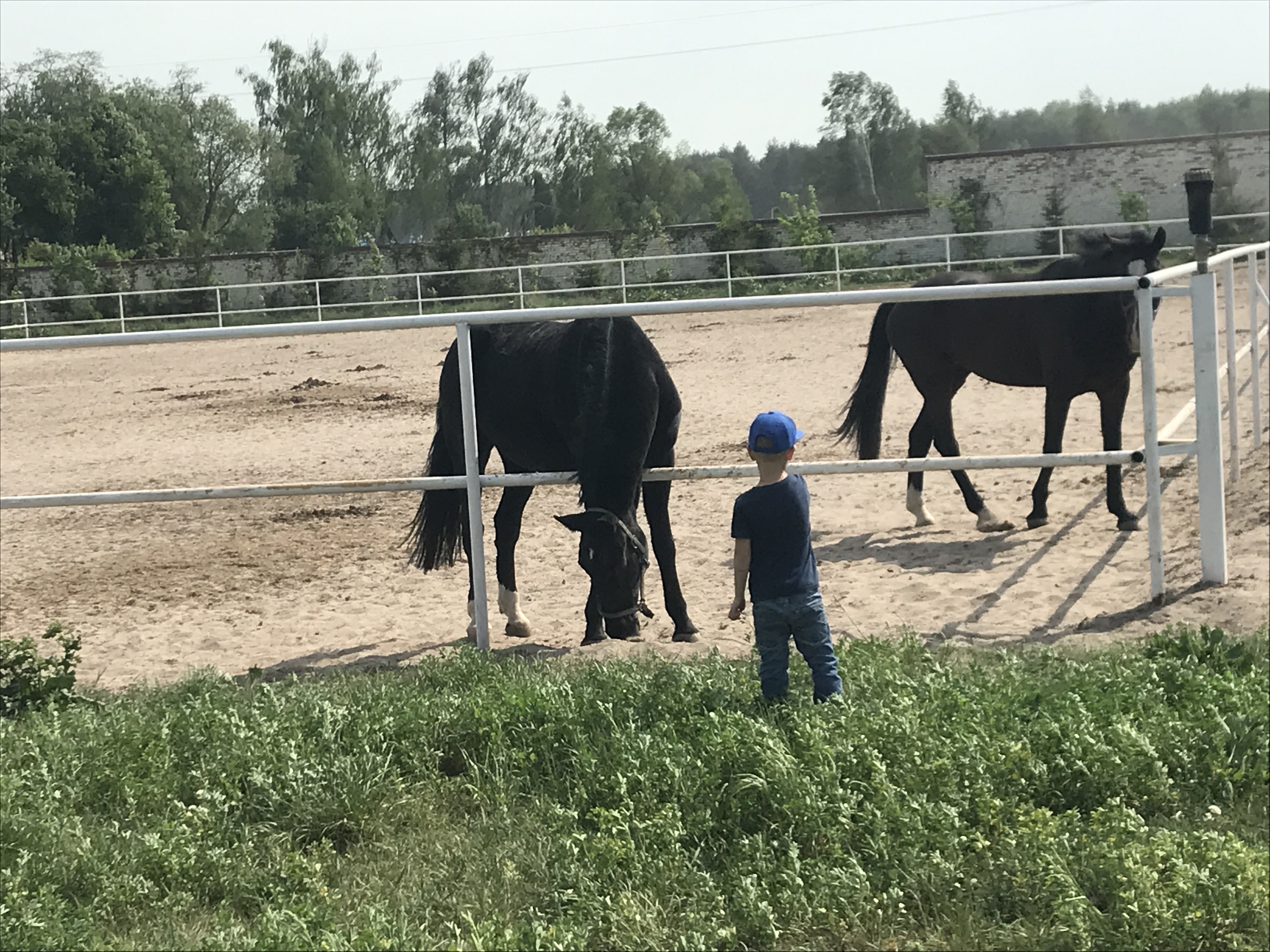 Zolota Pidkova image 10