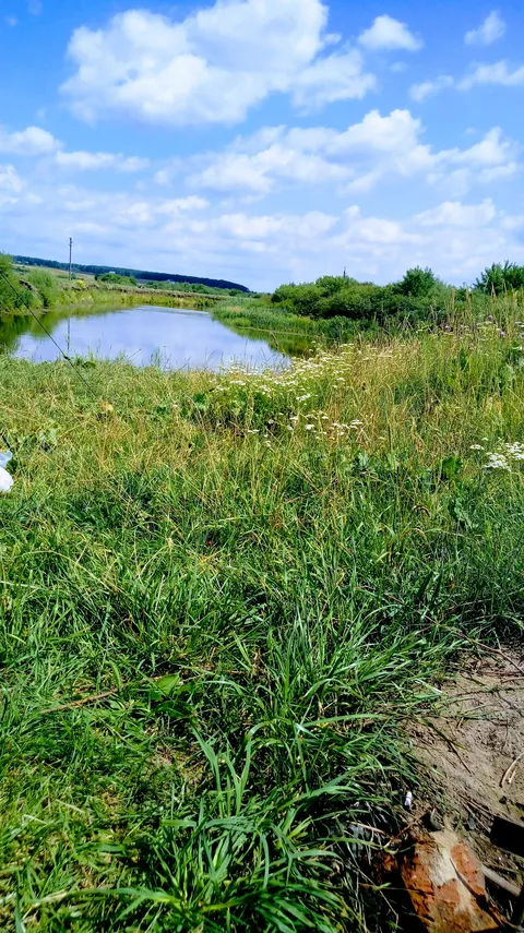 Oleksandriia image 5