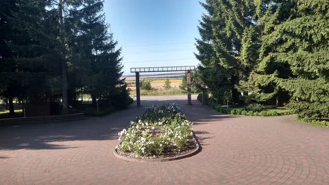 Hostynnyy Dvir image 6
