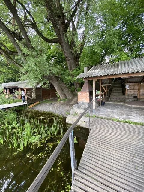 Ritsa image 7