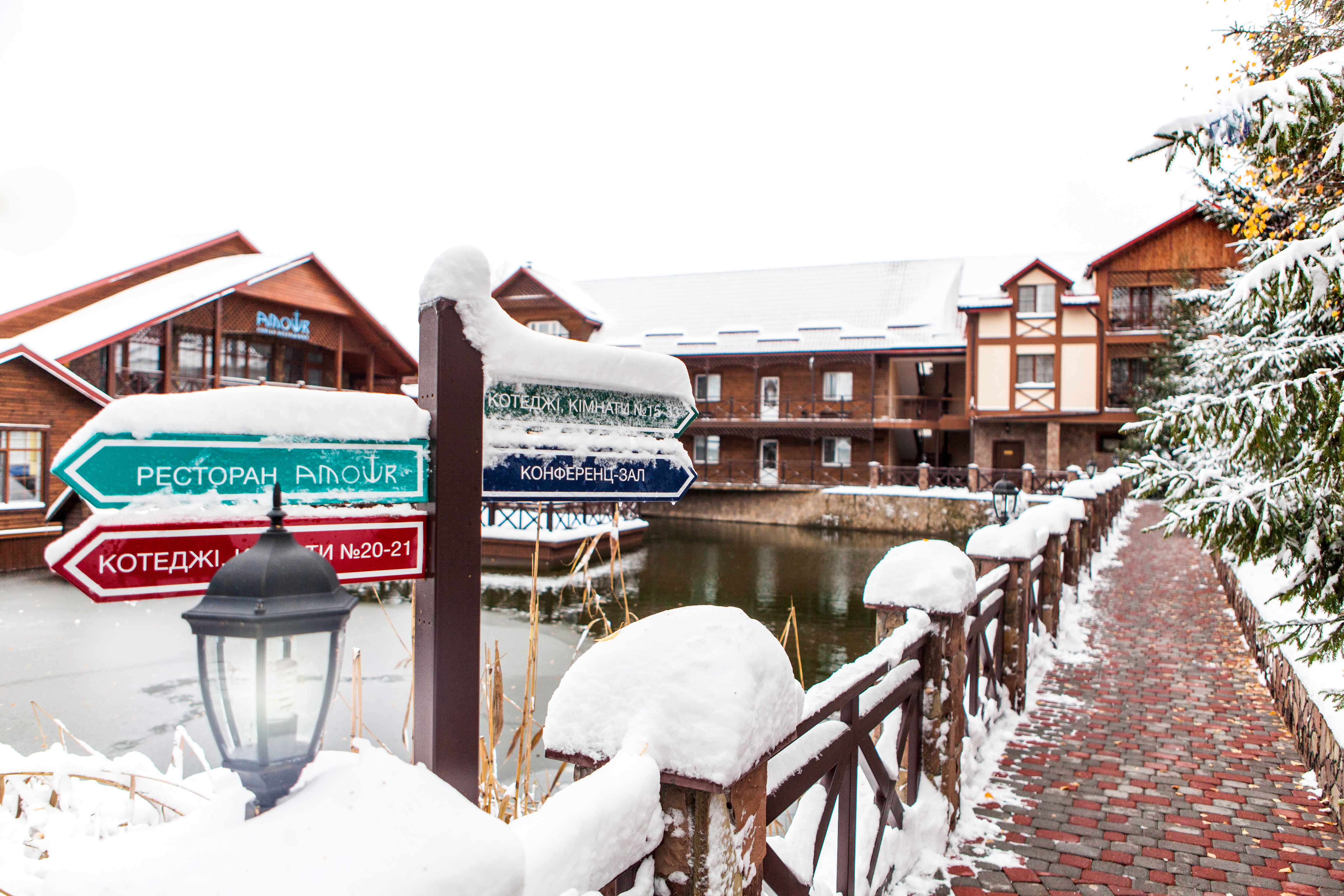 Restaurant AMOUR image 3