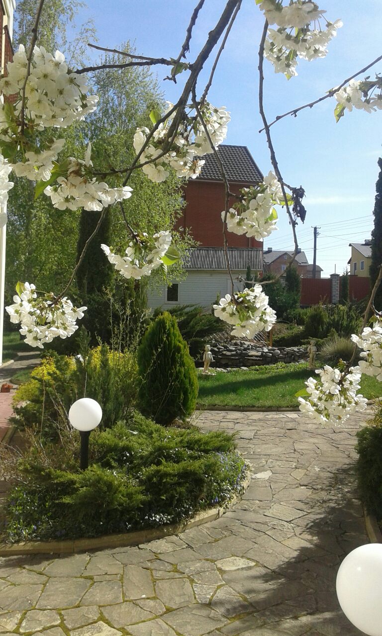 Hotelʹ-Restoran-Sauna Spokusa image 4