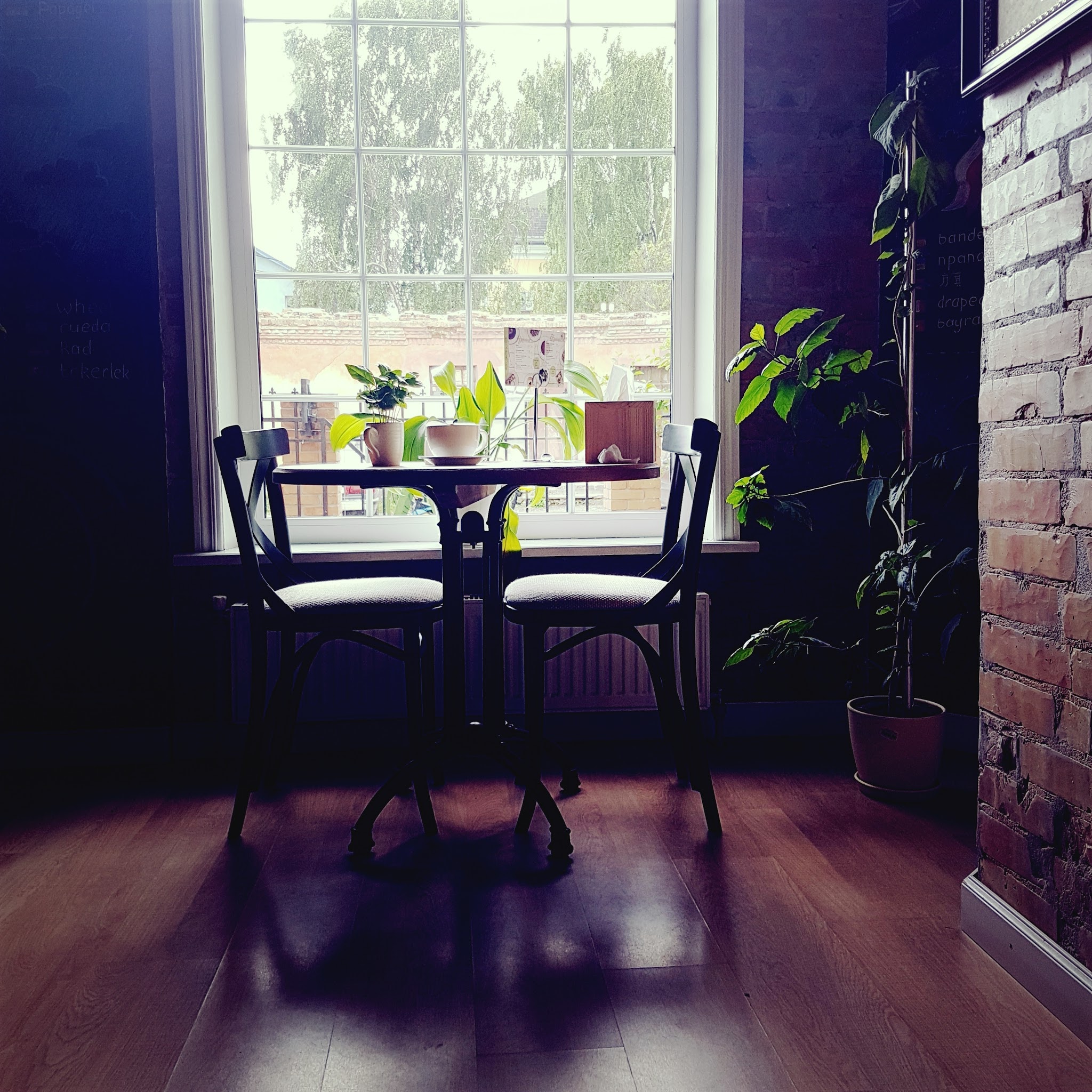 Ola Healthy Cafe image 3