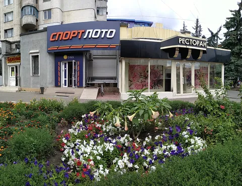 Novyy Svit image 1