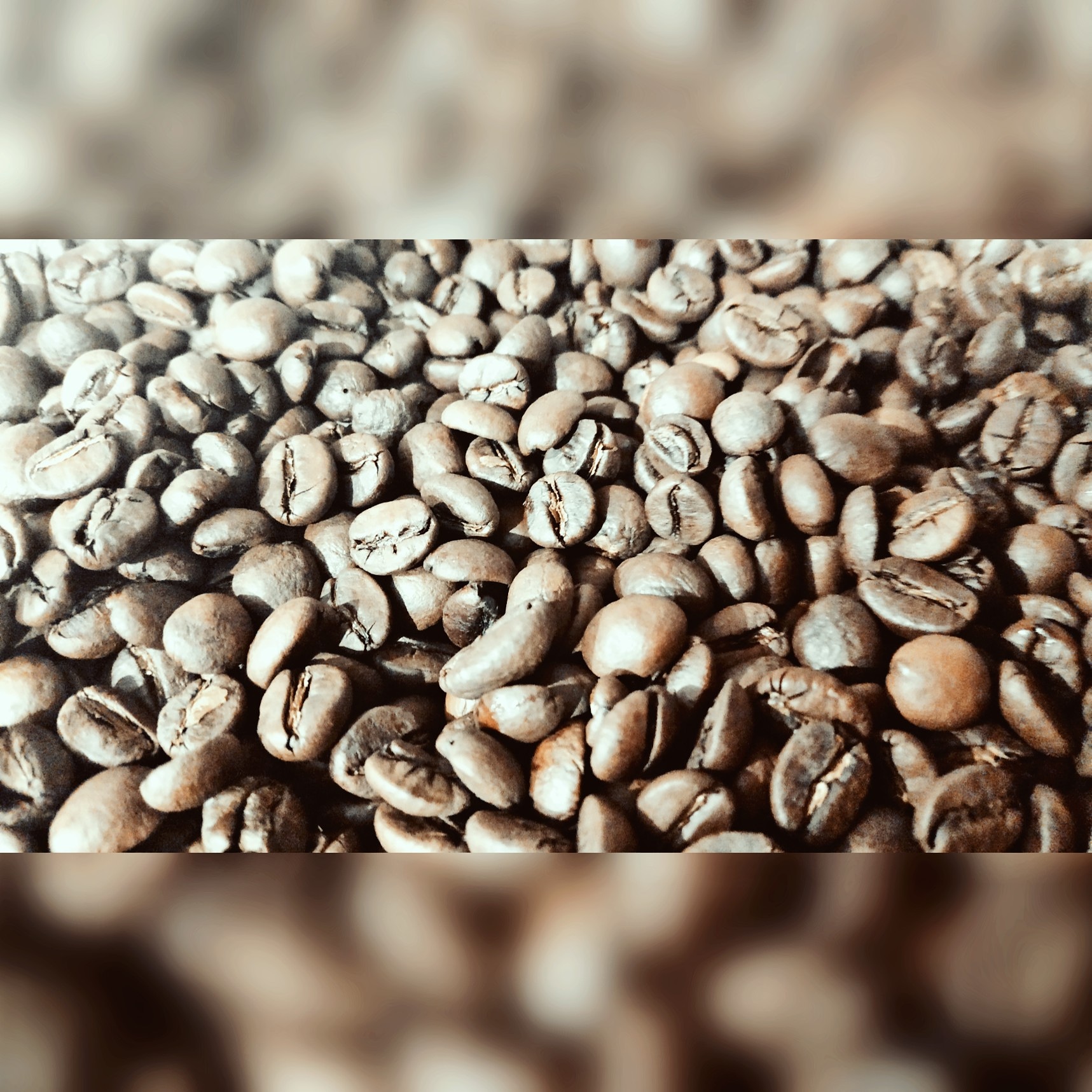 Кав’ярня-пекарня image 2