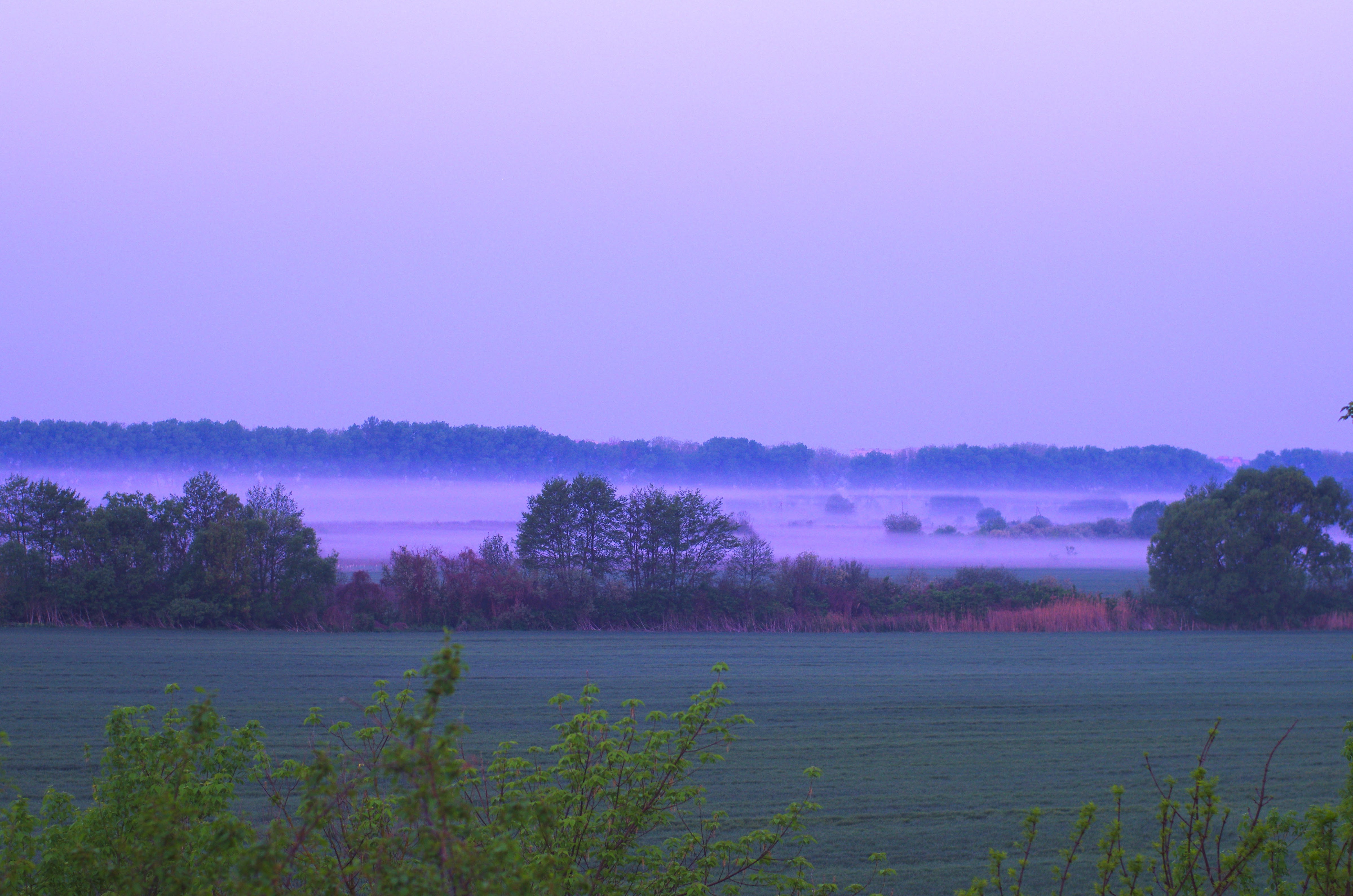 Rio Hotelʹno-Restorannyy Kompleks image 5