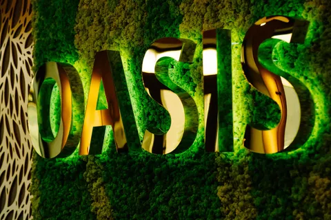 Oasis image 6