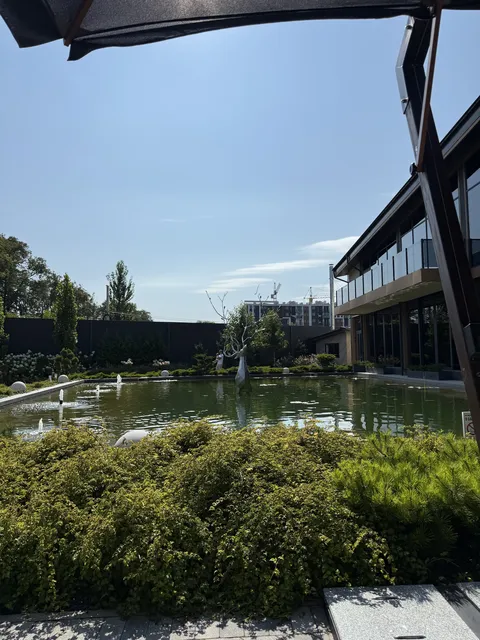 Oasis image 7