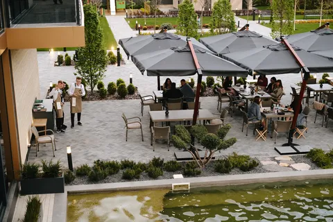 Oasis image 8