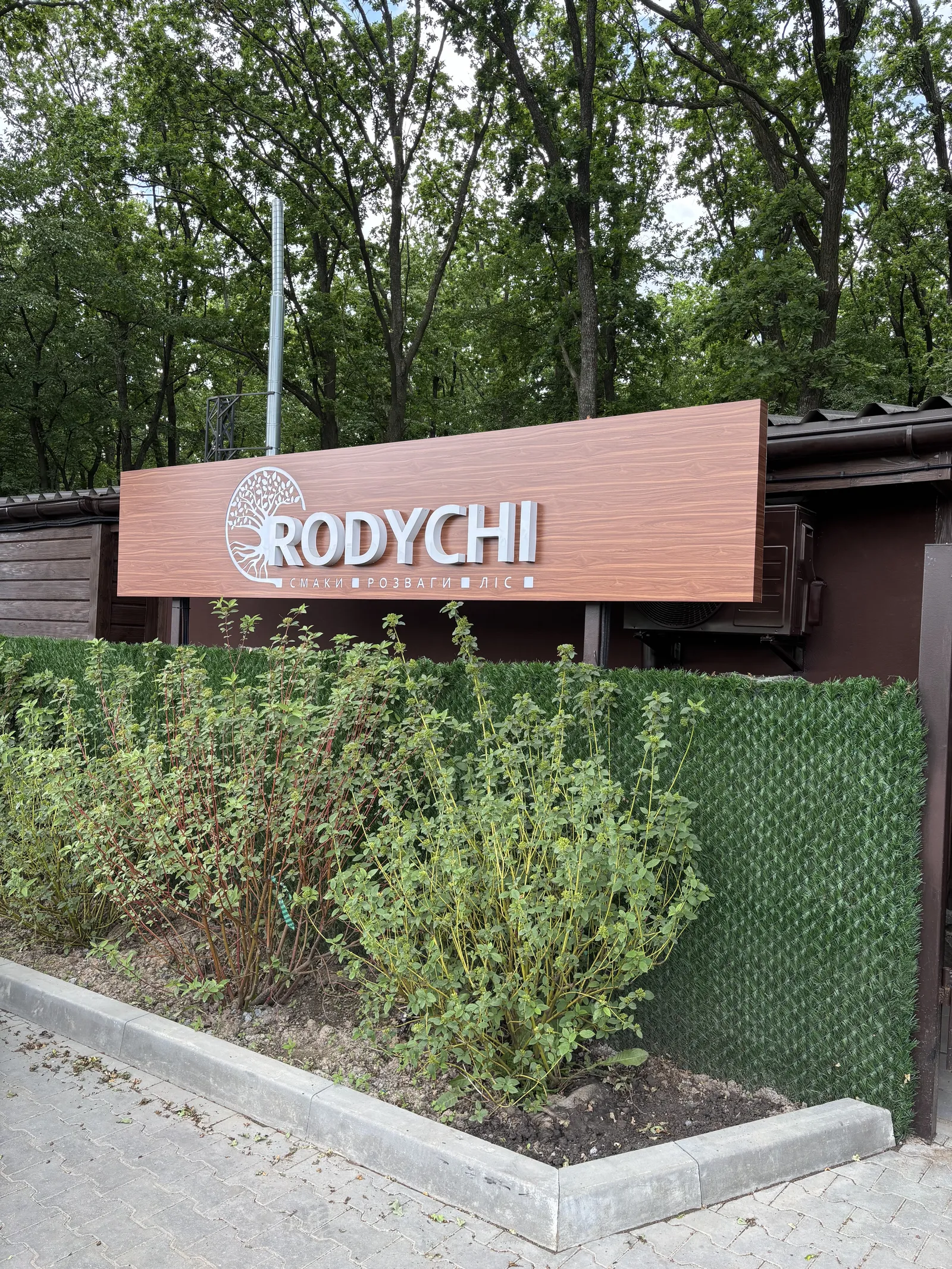 RODYCHI image 4