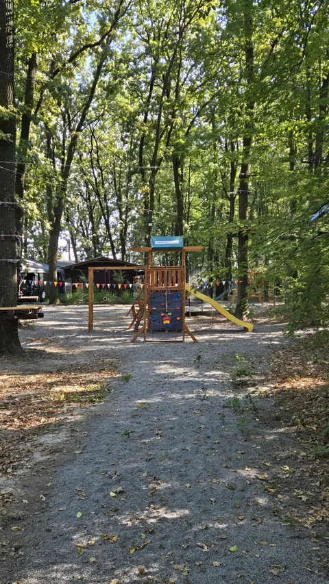 RODYCHI image 8