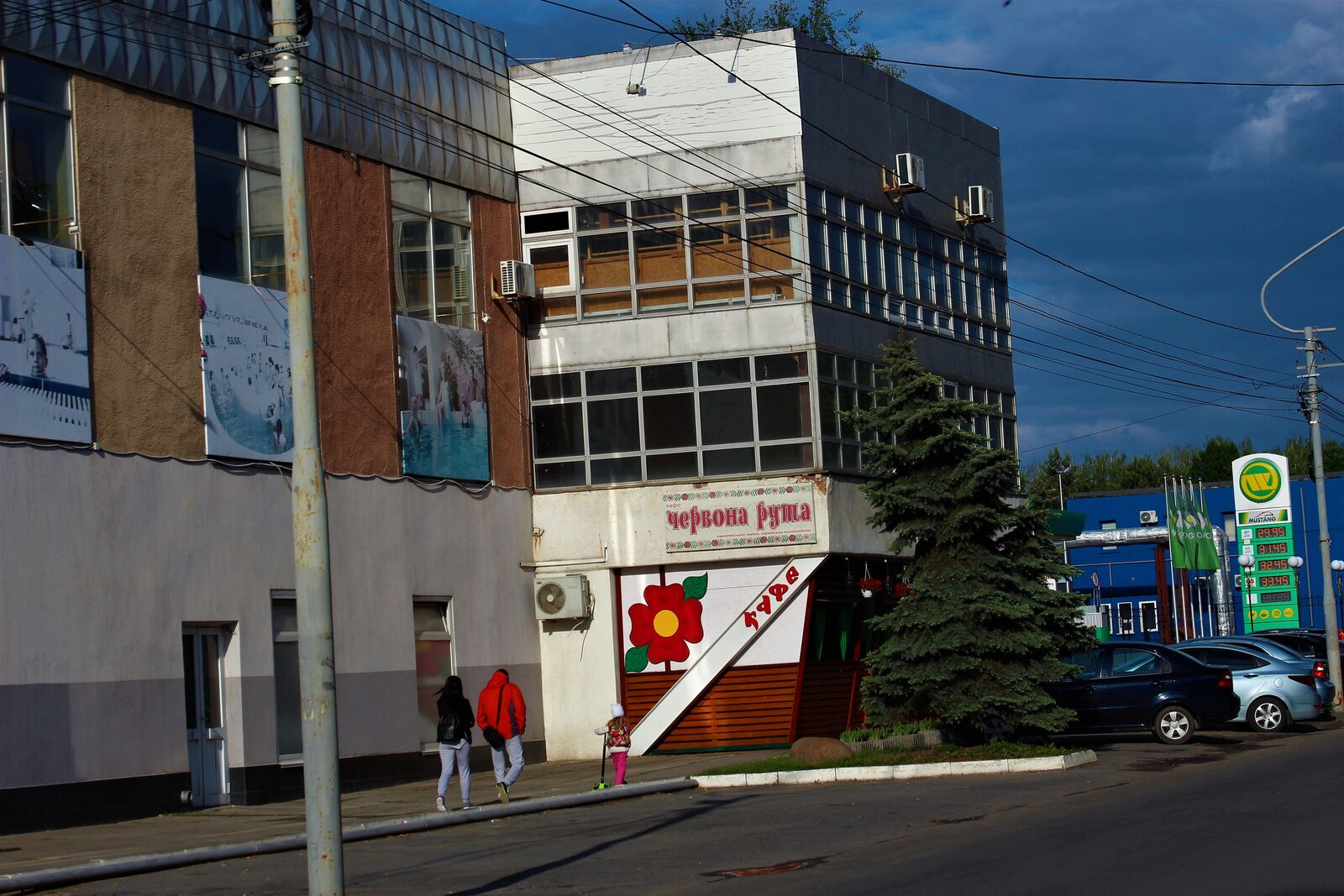 Red Ruta image 5