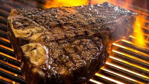 T-Bone image 3