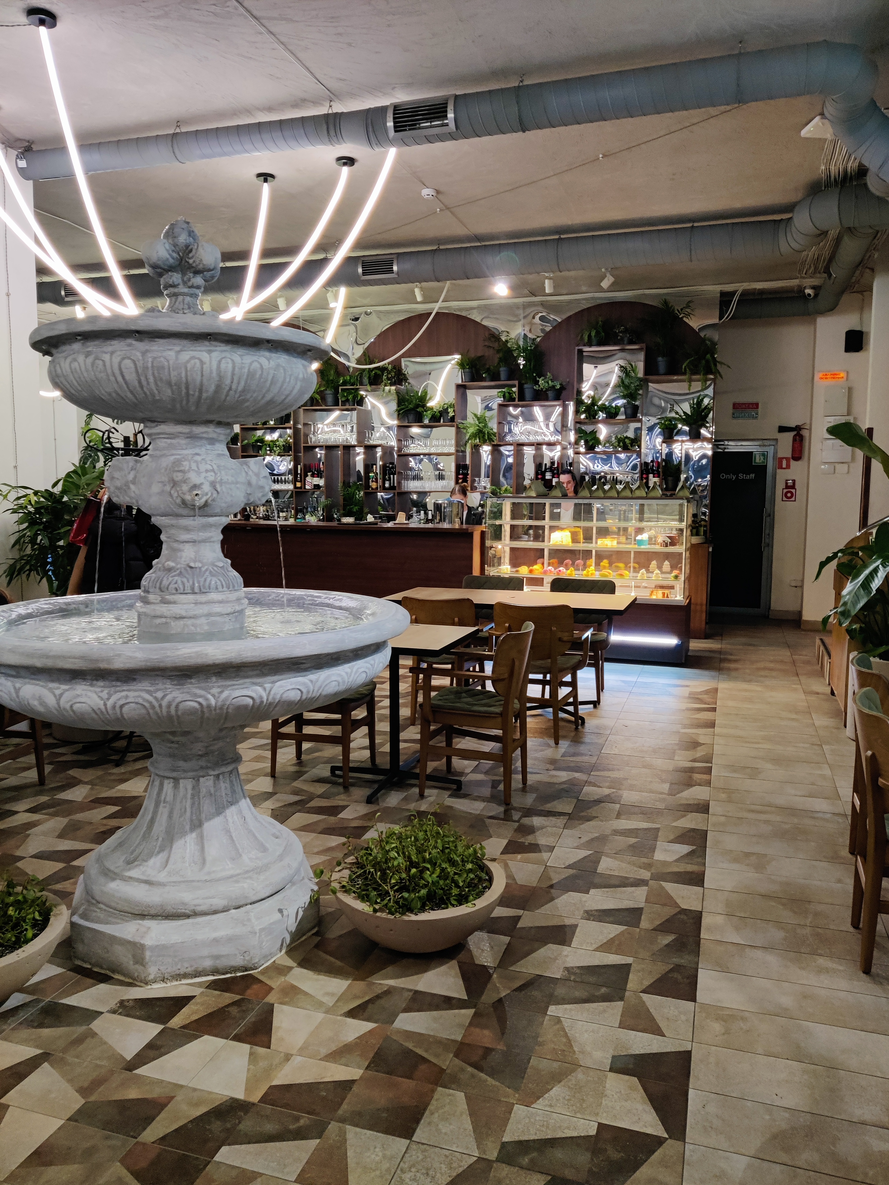 Family Garden image 9