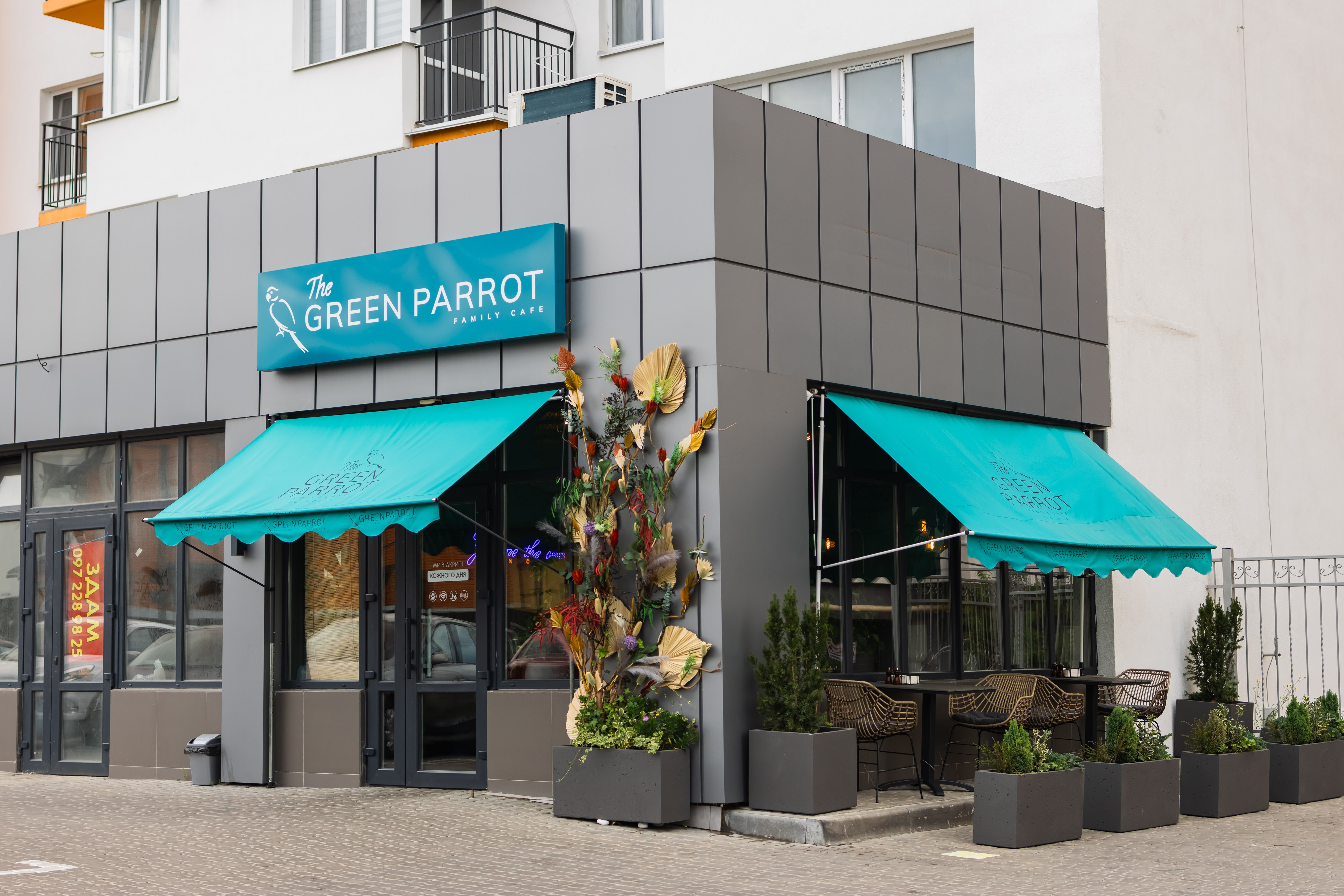 The Green Parrot image 1