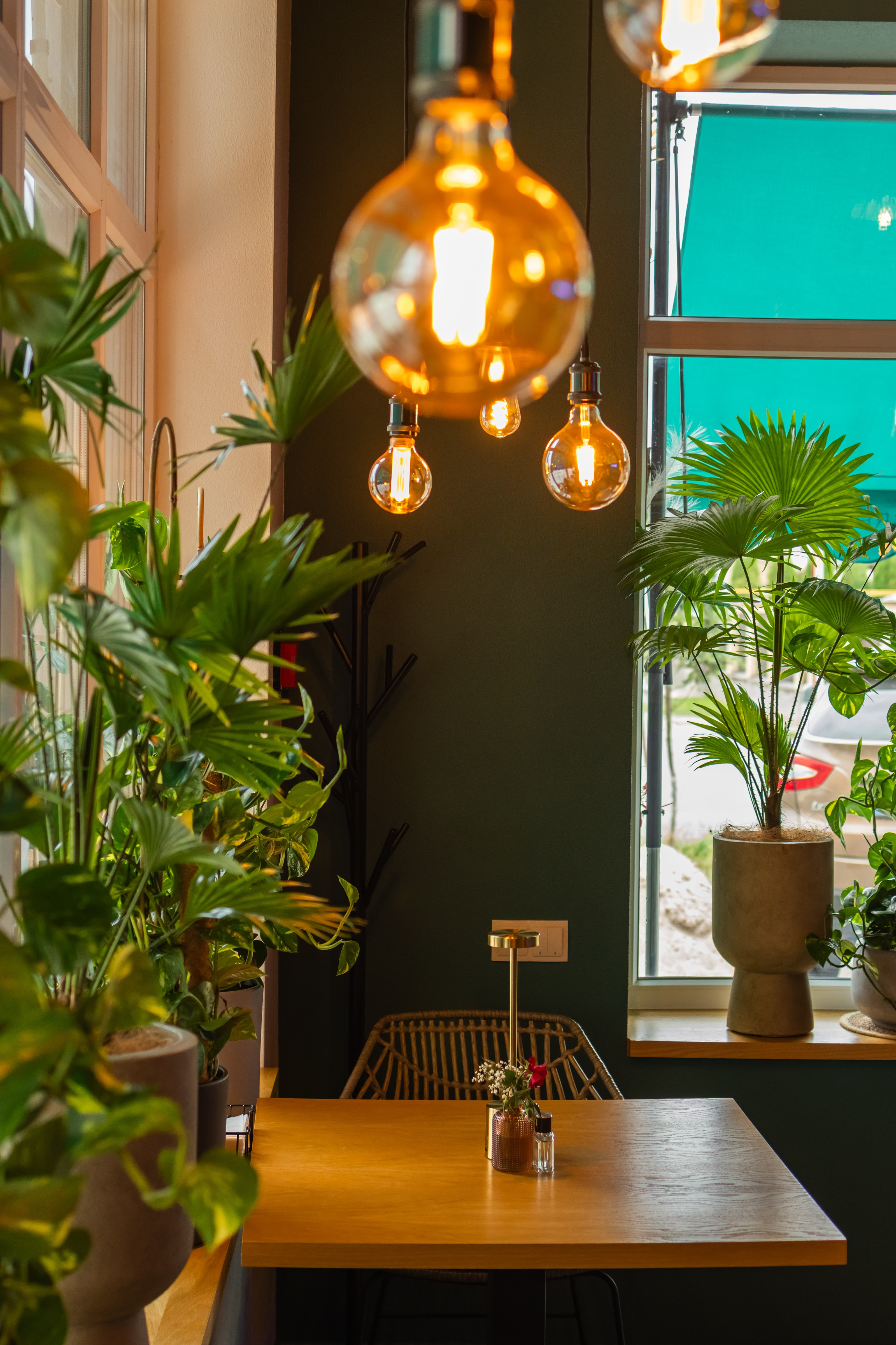 The Green Parrot image 8