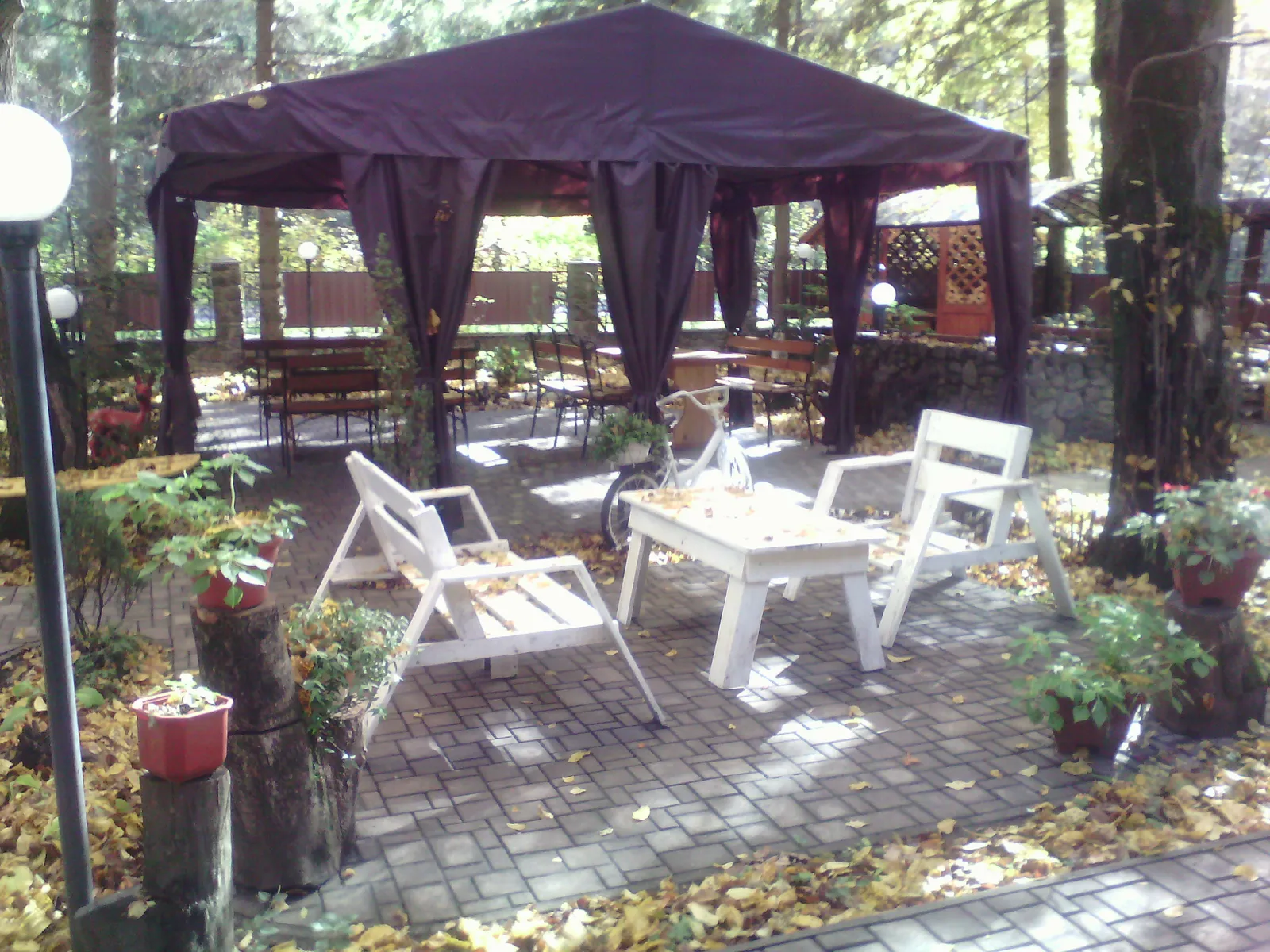 Dezhavyu image 1
