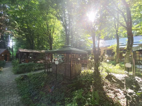 Dezhavyu image 5