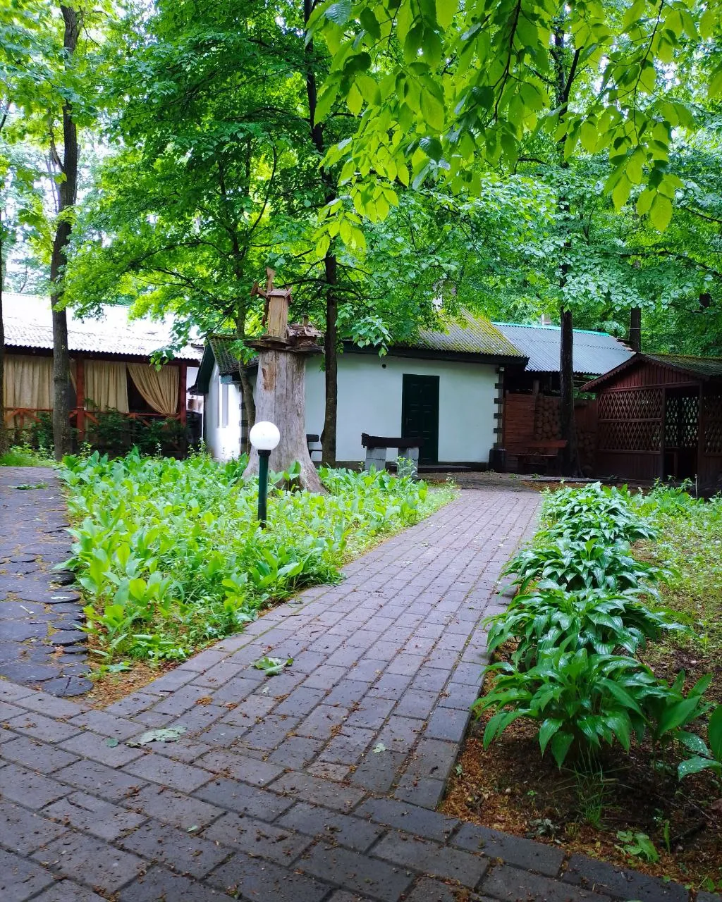 Leleka image 3