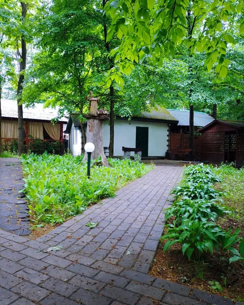 Leleka image 3
