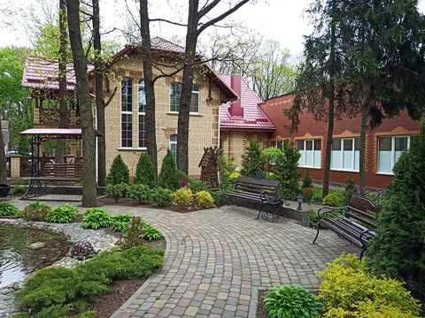 Lisnyy image 8