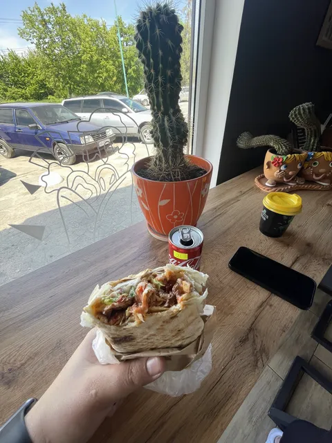 CactusKebab image 5