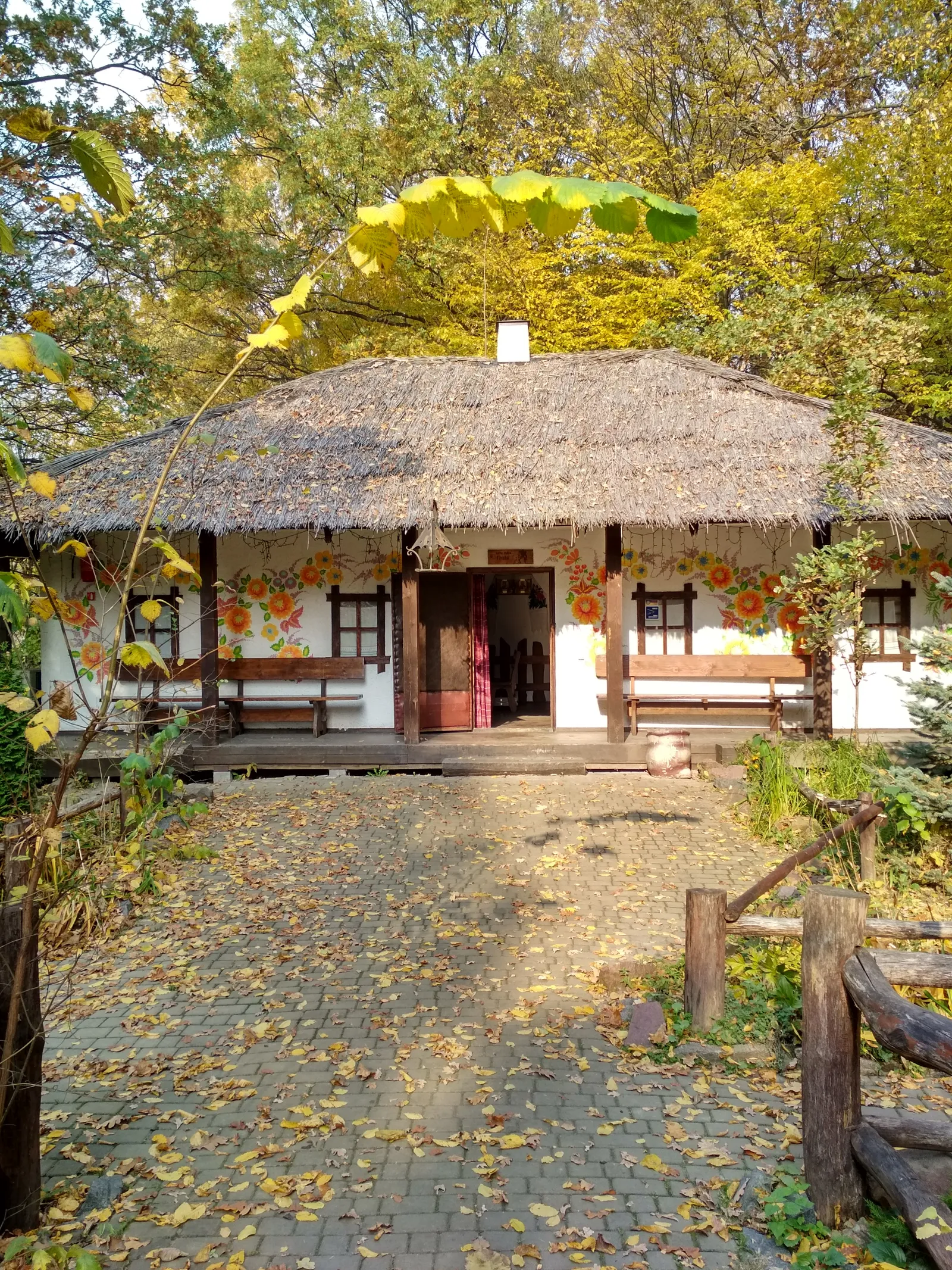 Dykanʹka image 5