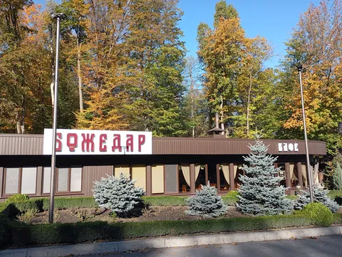 БОЖЕДАР image 8