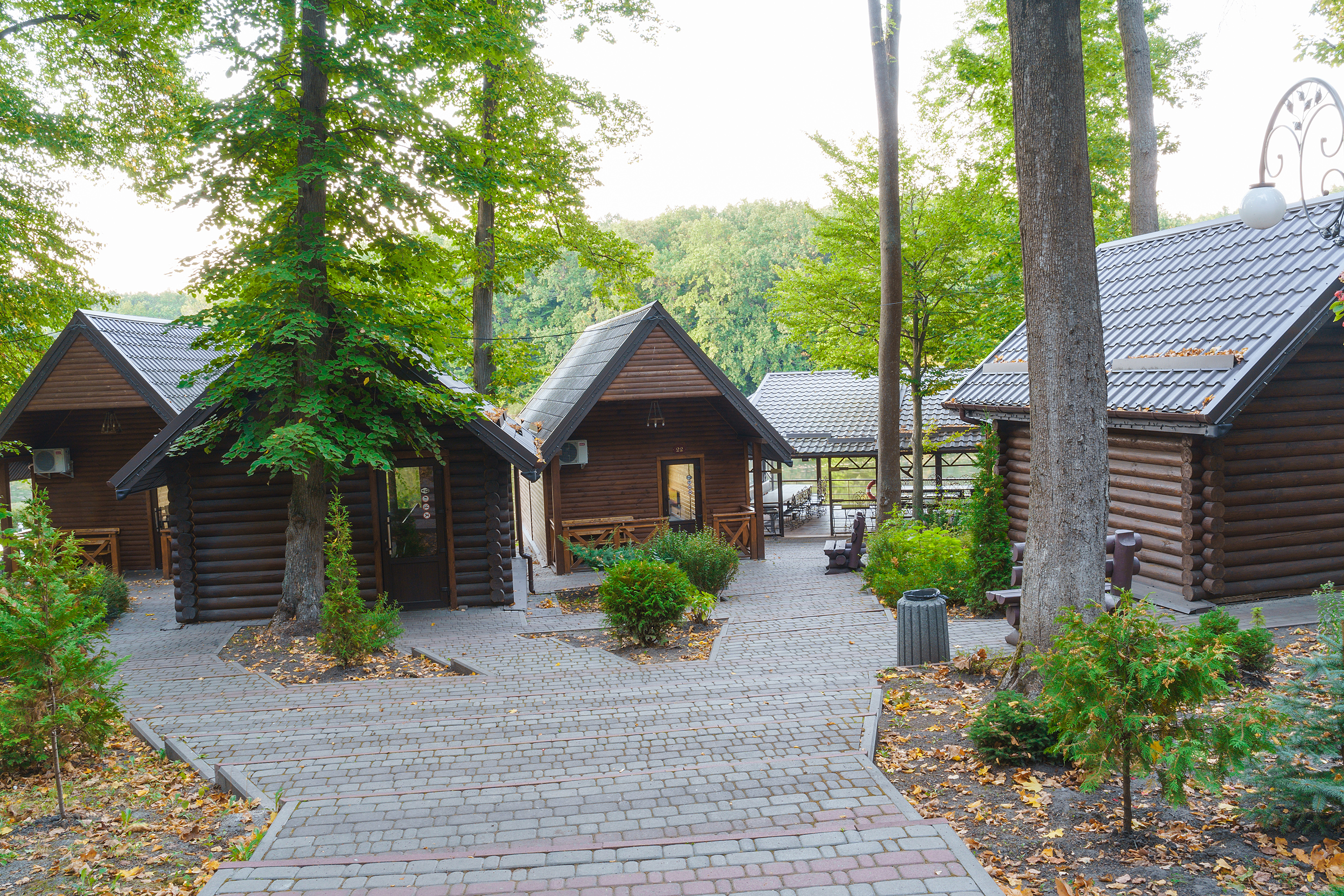 БОЖЕДАР image 10