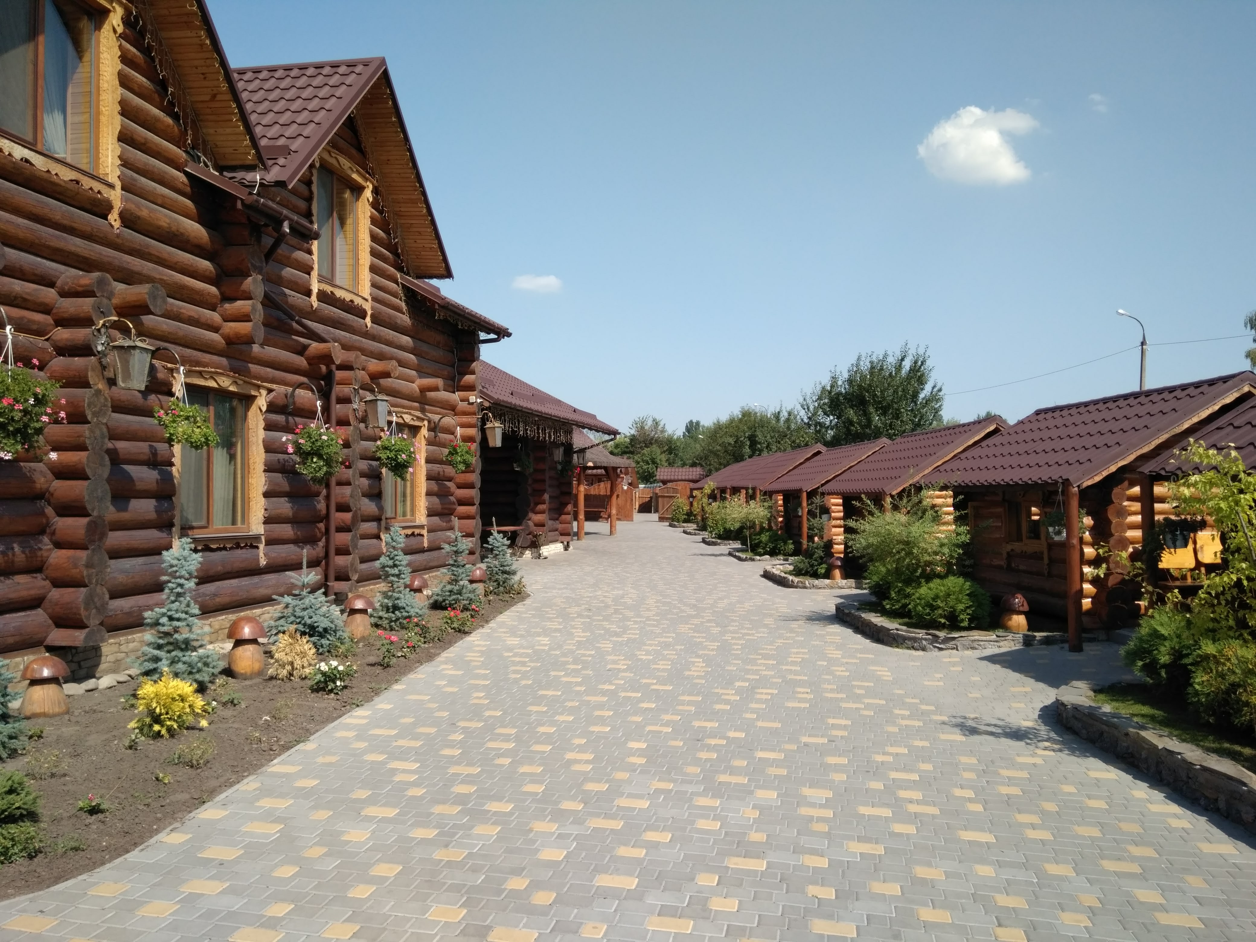 Модрина image 7