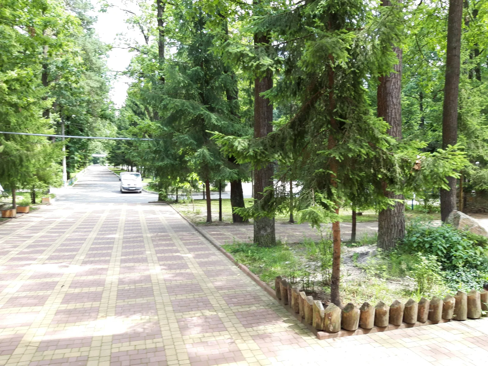 Dubovyy Hay image 6