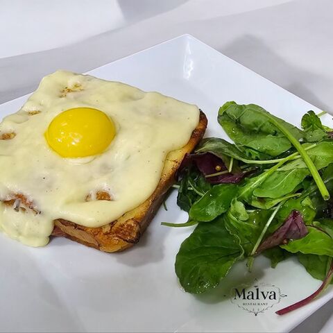 Malva image 2